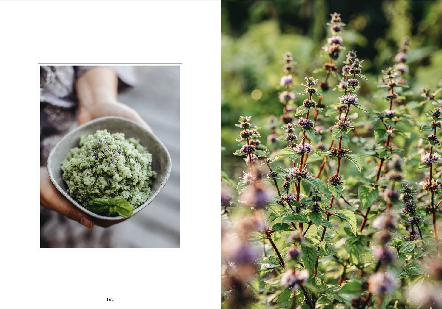 Living with Herbs Book - Image 4