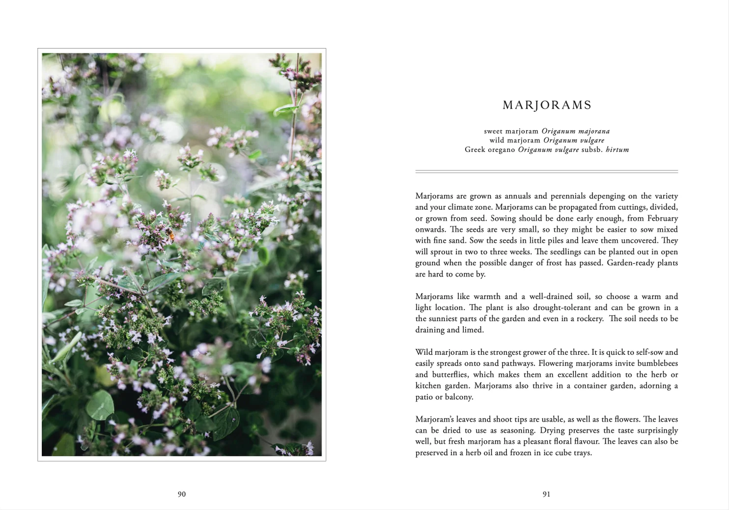 Living with Herbs Book - Image 5