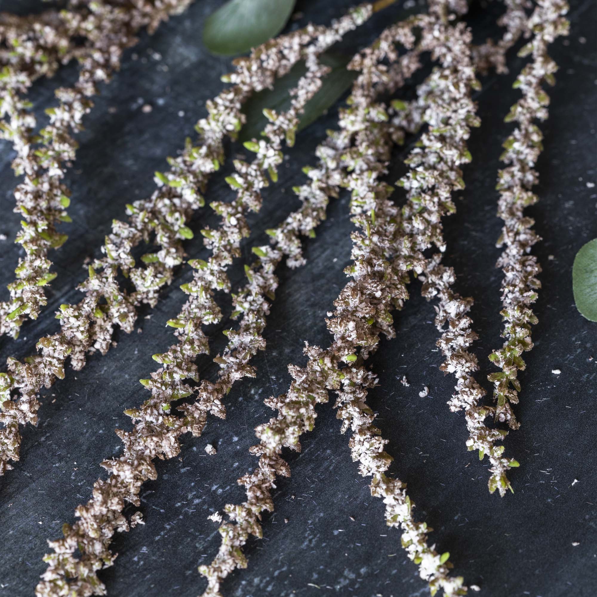 40" Amaranthus Blush Stem - Image 4